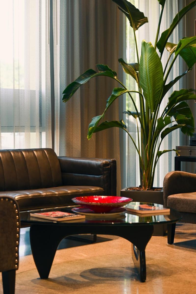 Art House Hotel Santa Rosa Ngoại thất bức ảnh